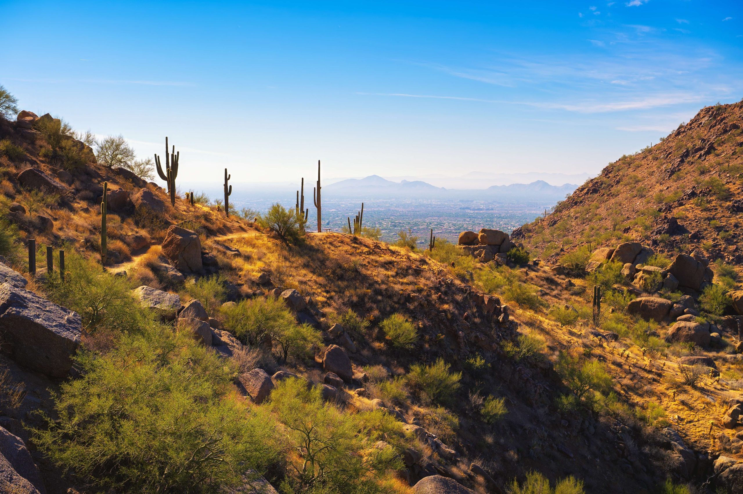 Phoenix vs. Scottsdale: Which Should You Visit? (And Where to Stay)