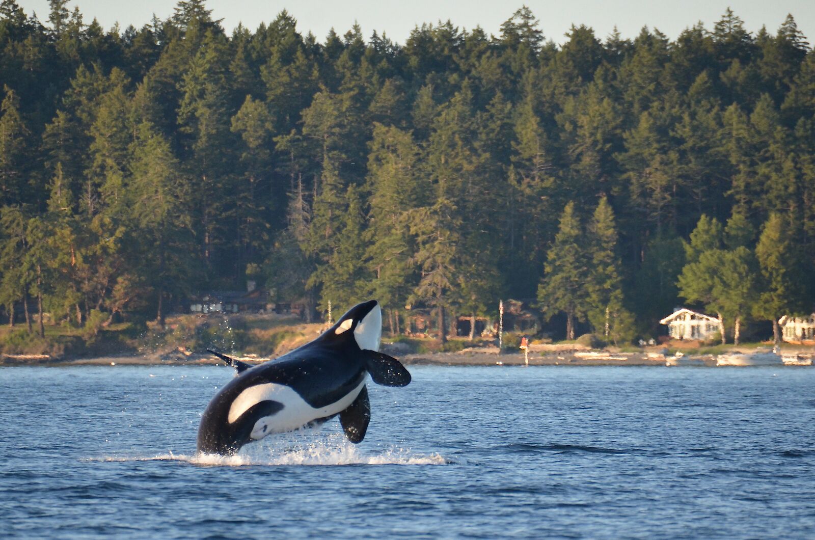 Best Time to Visit Orcas Island, WA