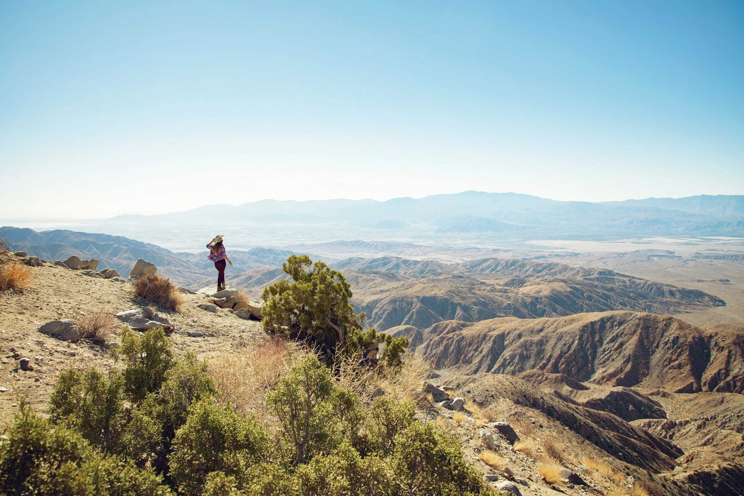 Things to Do in Joshua Tree: The Complete Guide to the National Park and Town